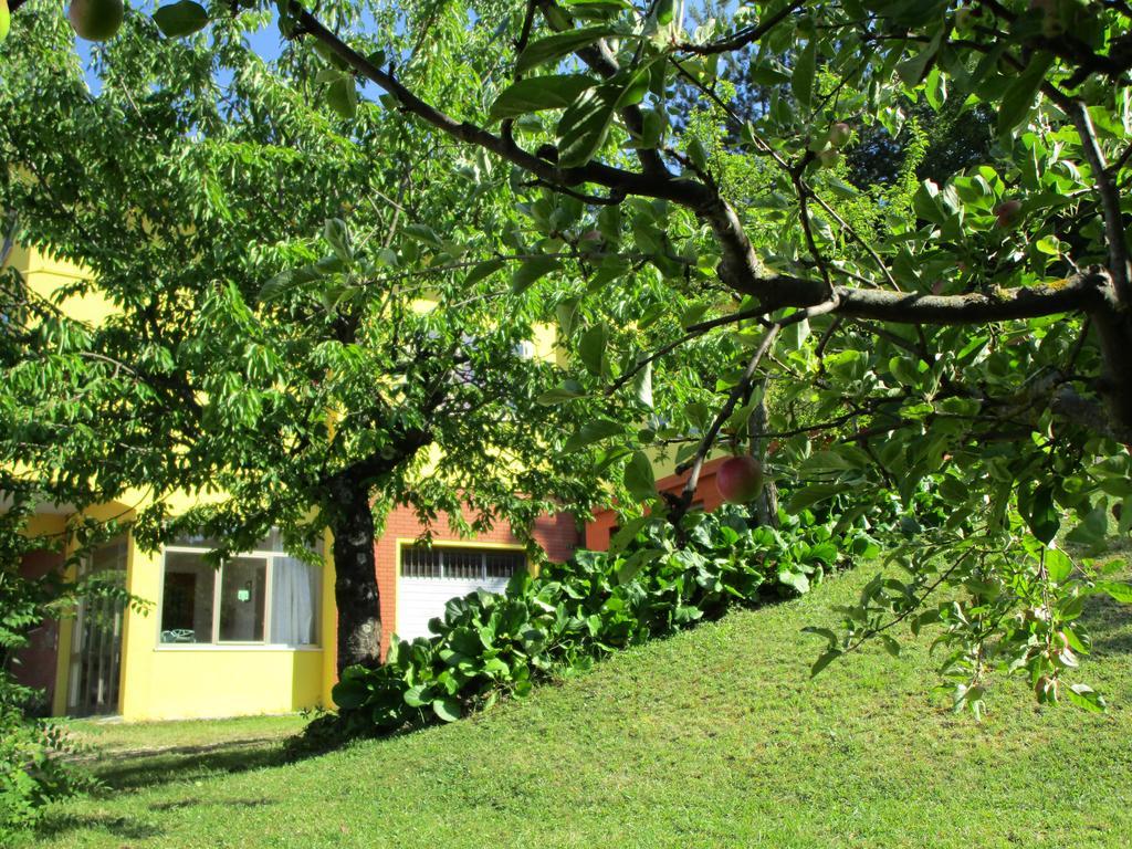 Mercatello sul Metauro Casa Balducci Bed&Breakfast מראה חיצוני תמונה