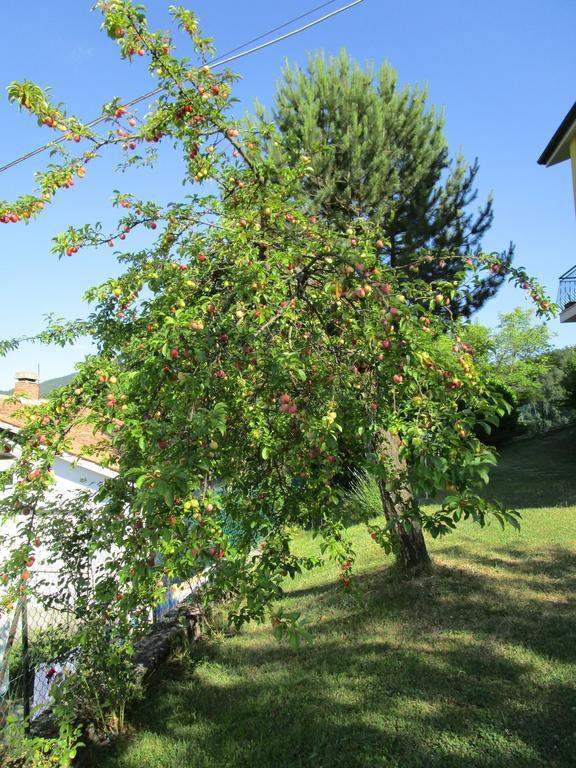 Mercatello sul Metauro Casa Balducci Bed&Breakfast מראה חיצוני תמונה